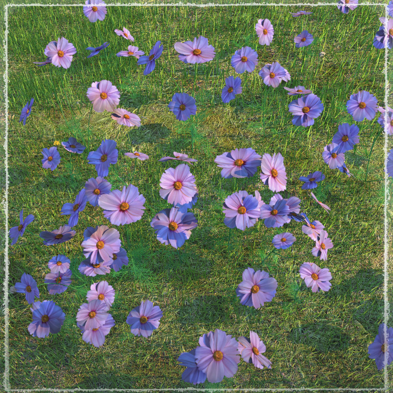 Photo Plants: World of Wildflowers by N/A