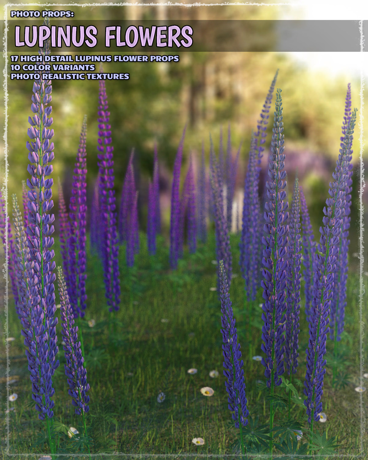 Photo Plants: Lupinus Flowers by N/A