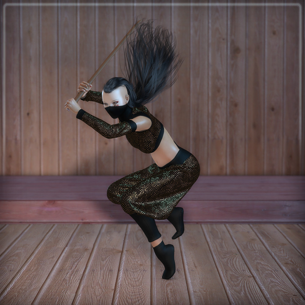 Dynamic Ninja F by N/A