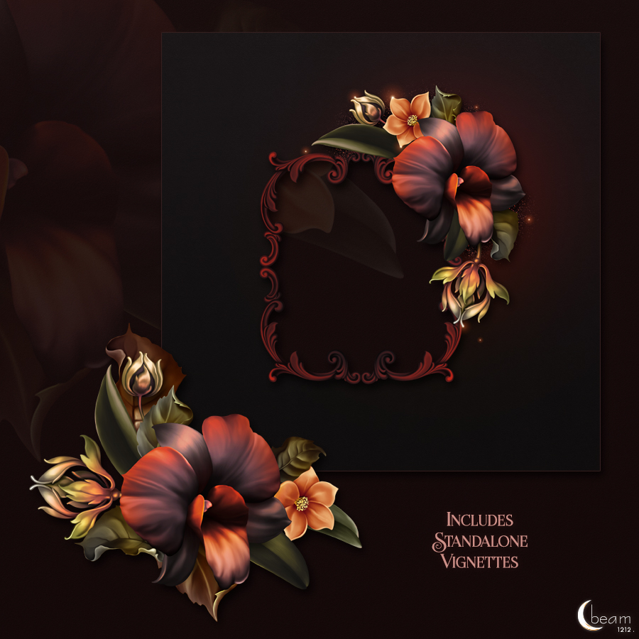 Moonbeam's Macabre Orchids by N/A