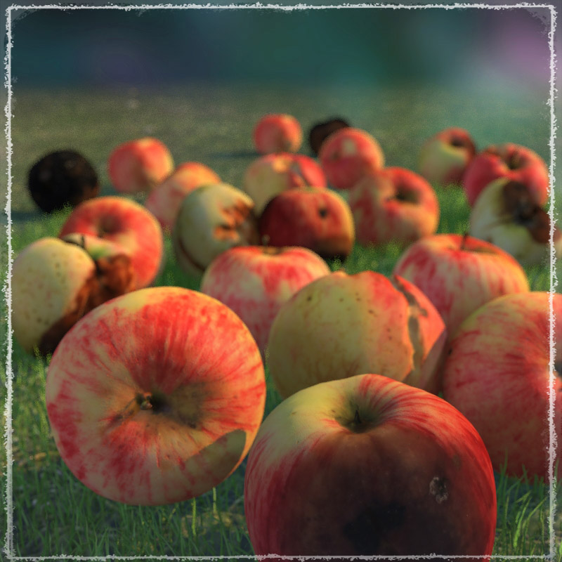 Photo Buffet: Autumn Fruit by N/A