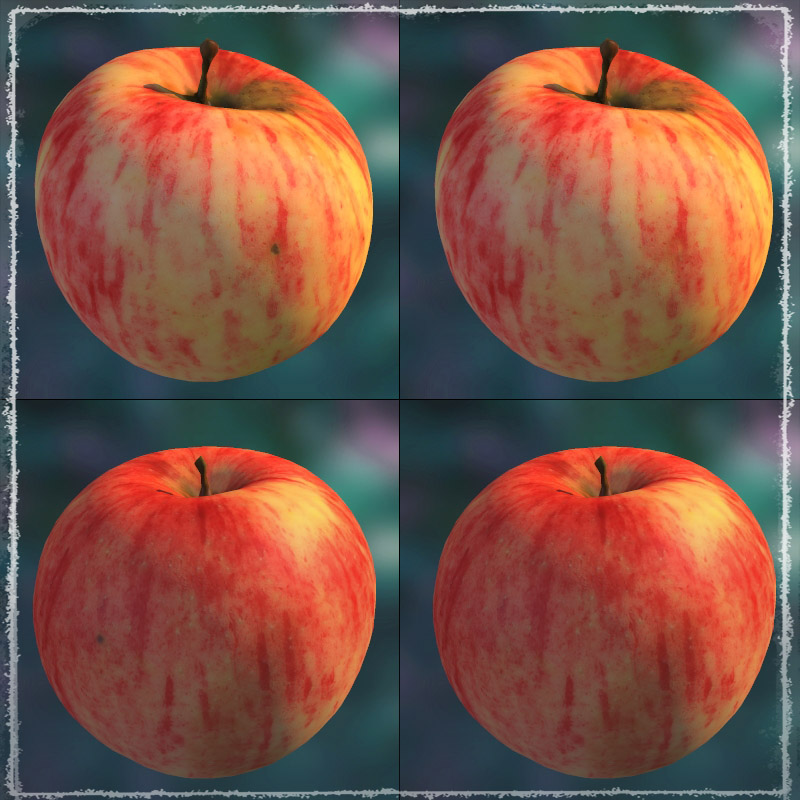 Photo Buffet: Autumn Fruit by N/A