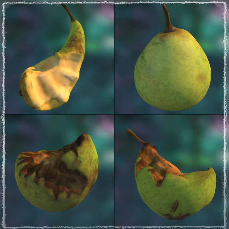Photo Buffet: Autumn Fruit by N/A