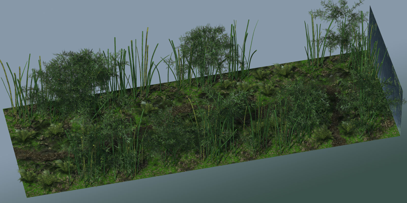 Bamboo Forest 2 by N/A
