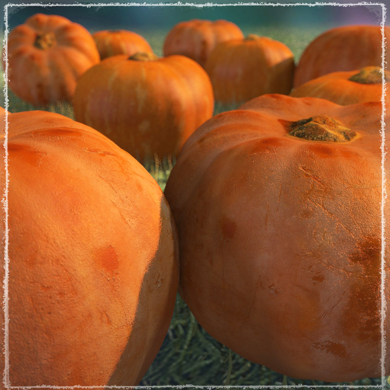 Photo Buffet: Autumn Fruit 2 by N/A