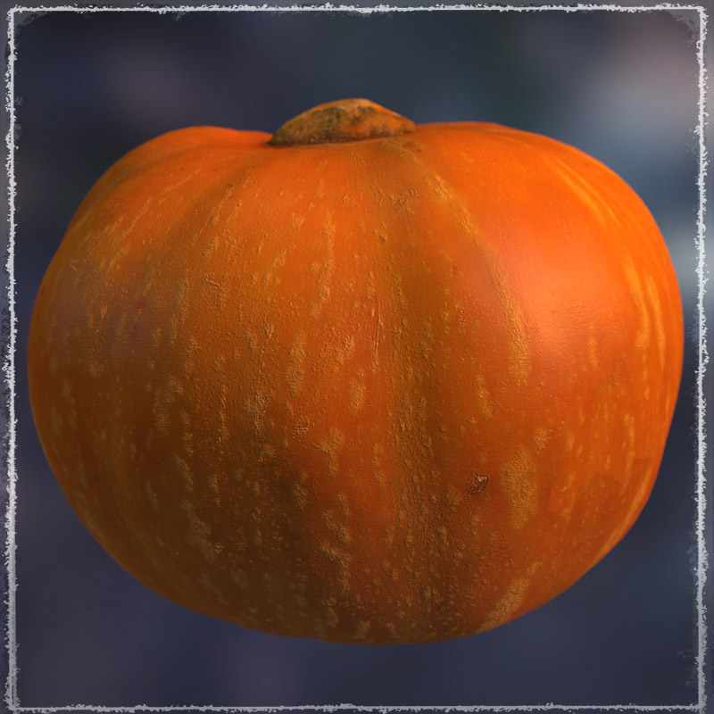 Photo Buffet: Autumn Fruit 2 by N/A