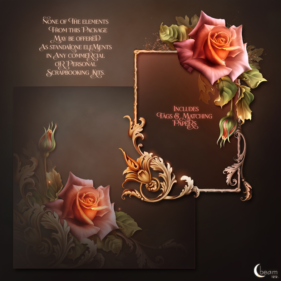 Moonbeam's Autumn Roses by N/A