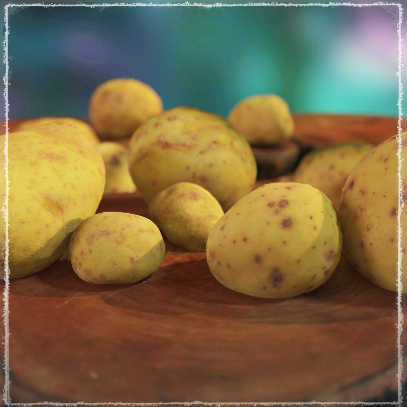 Photo Buffet: Root Vegetables by N/A