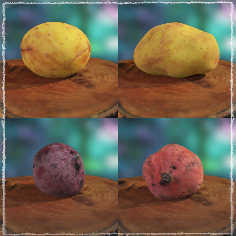 Photo Buffet: Root Vegetables by N/A