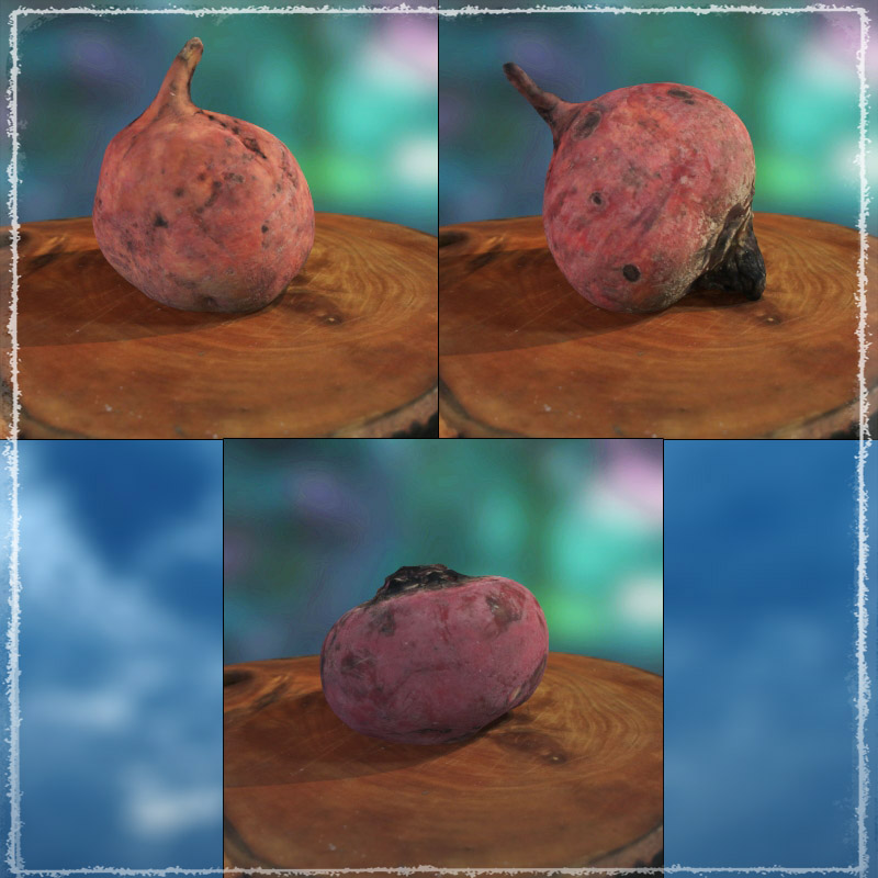 Photo Buffet: Root Vegetables by N/A