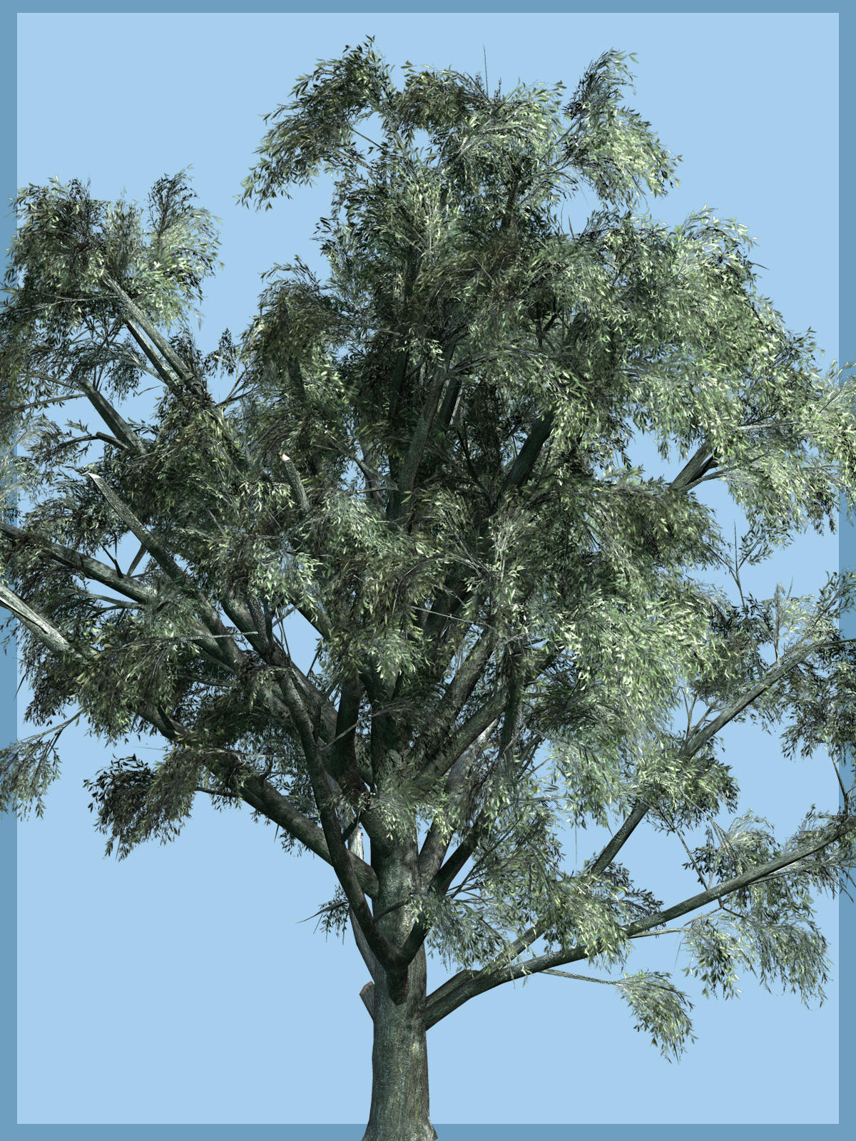 White Willow DR by N/A