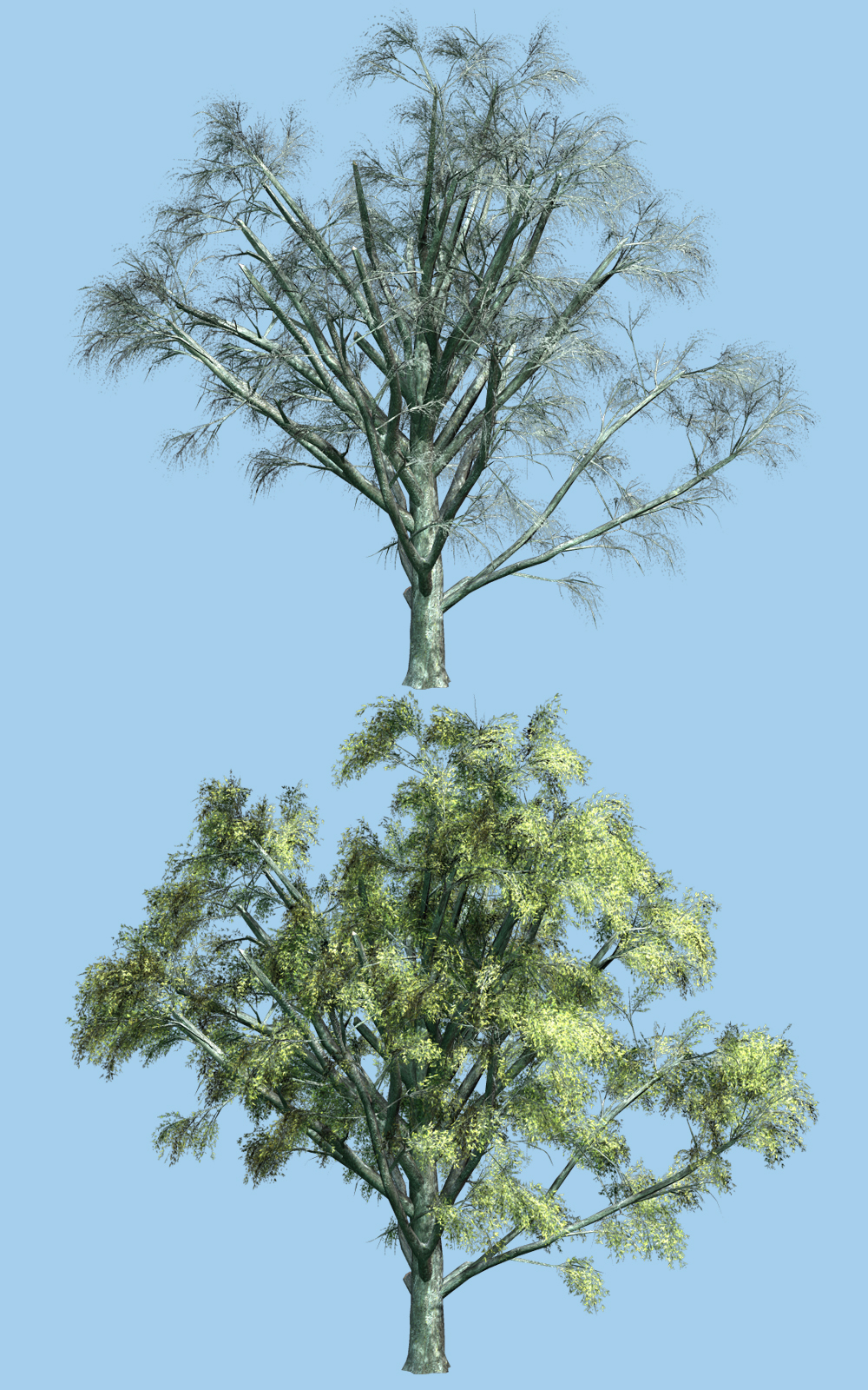 White Willow DR by N/A