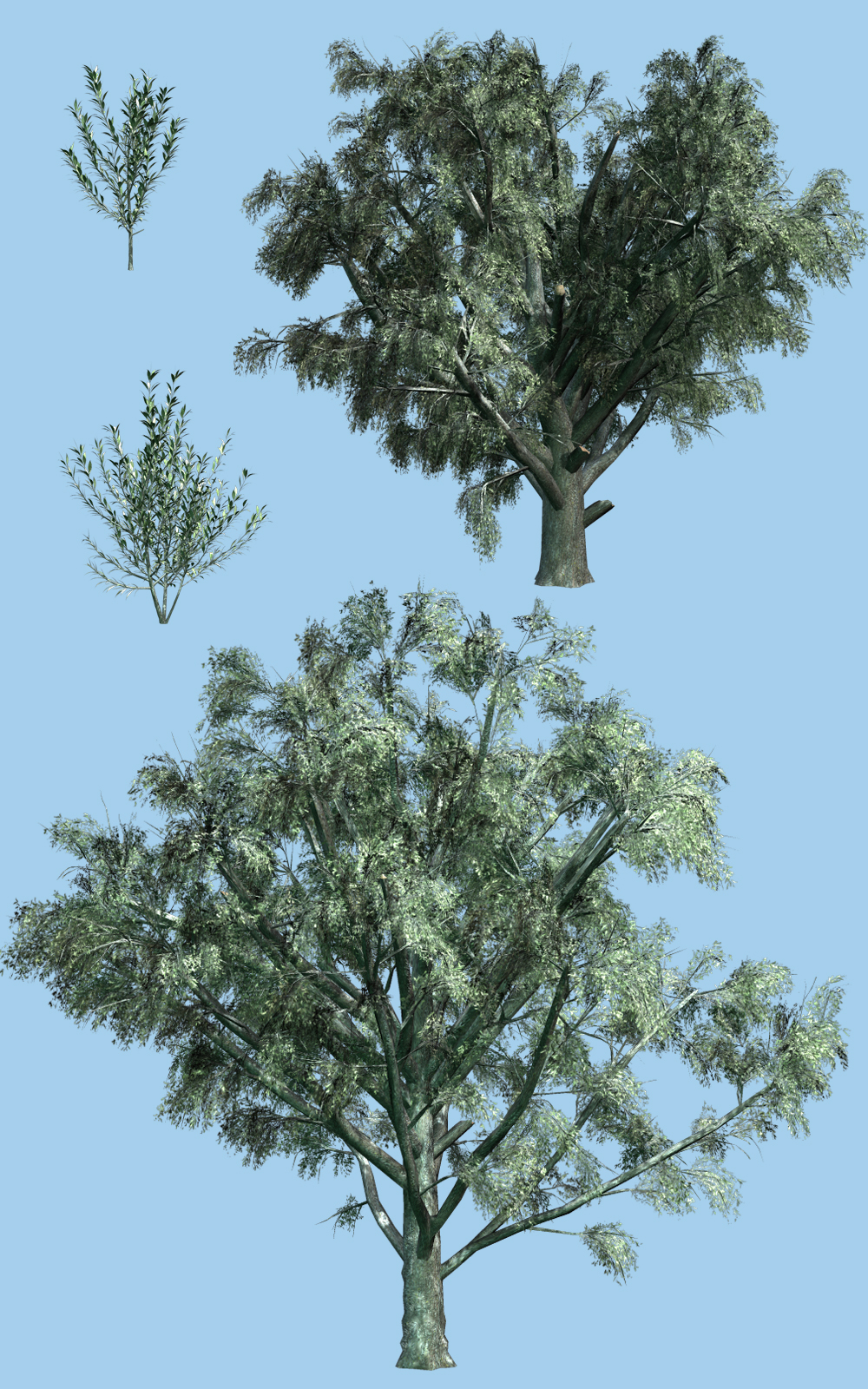 White Willow DR by N/A