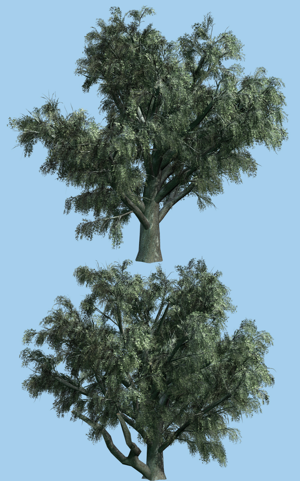 White Willow DR by N/A