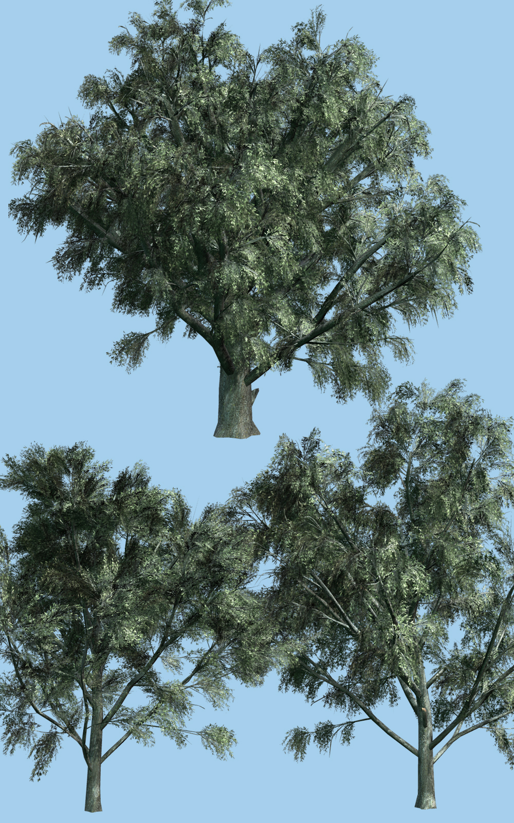 White Willow DR by N/A