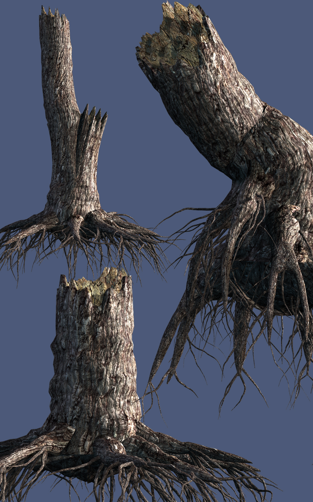 Stumps with roots DR by N/A