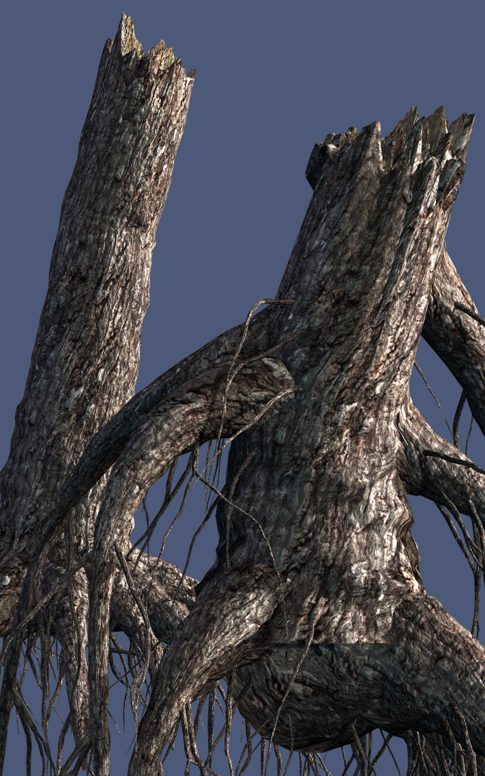 Stumps with roots DR by N/A