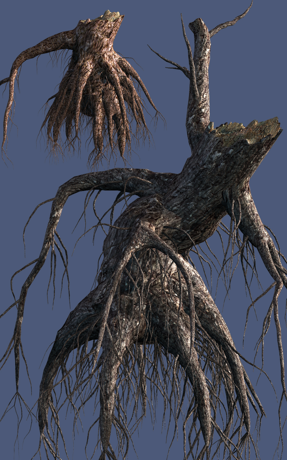 Stumps with roots DR by N/A