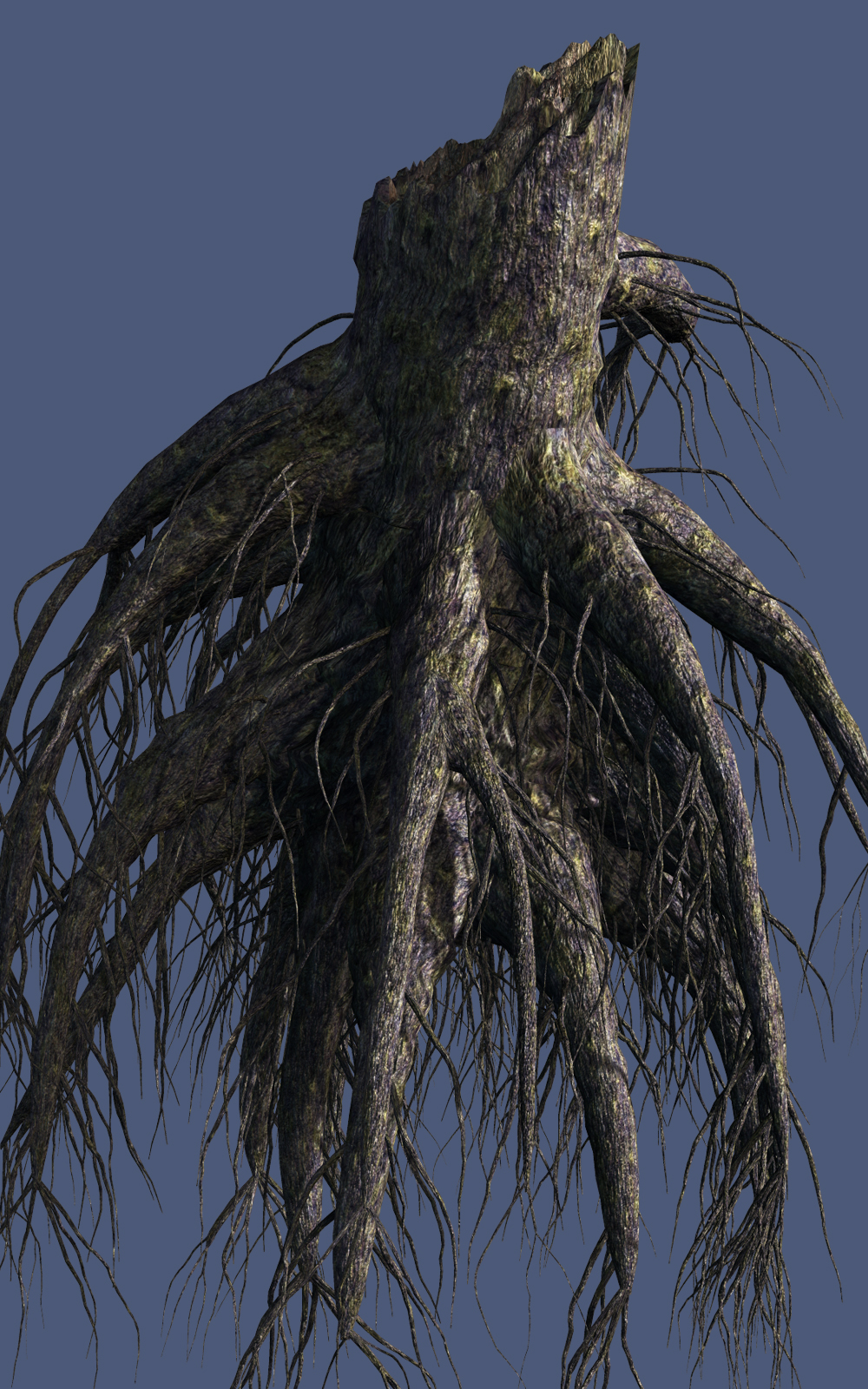 Stumps with roots DR by N/A