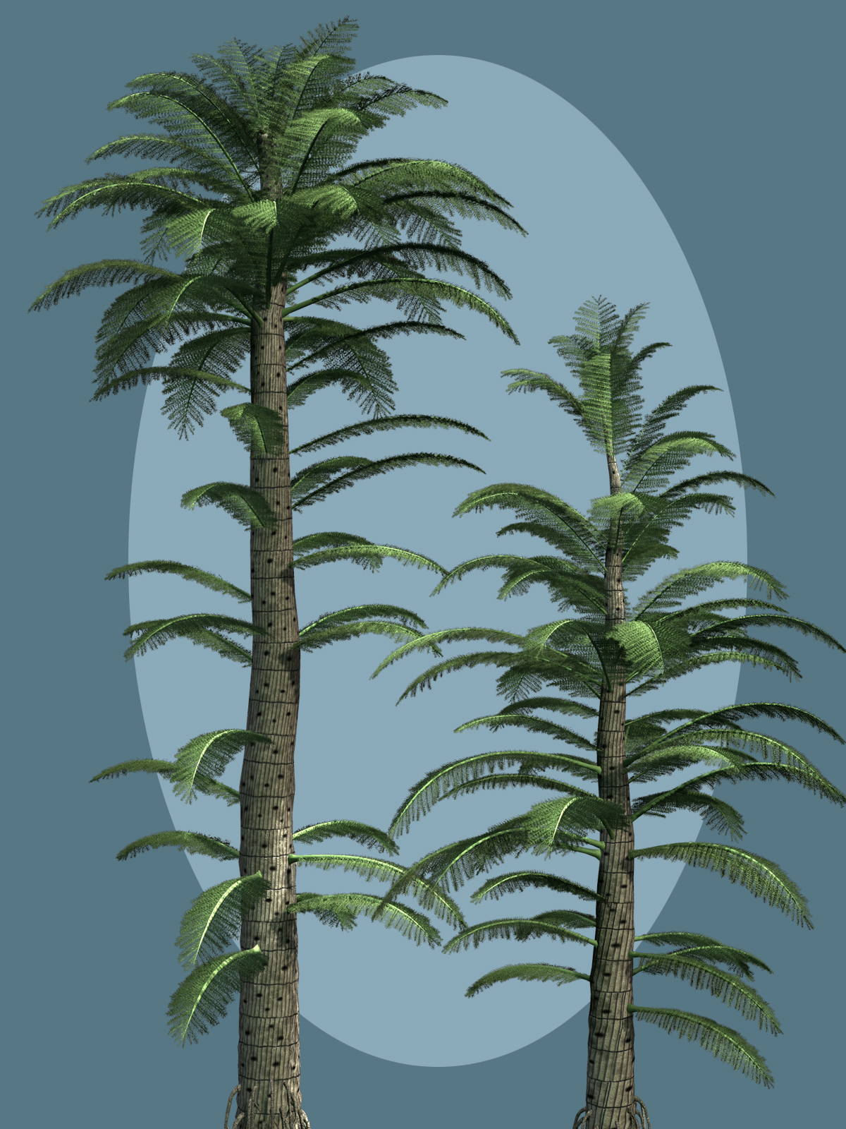 Calamitea striata DR by N/A