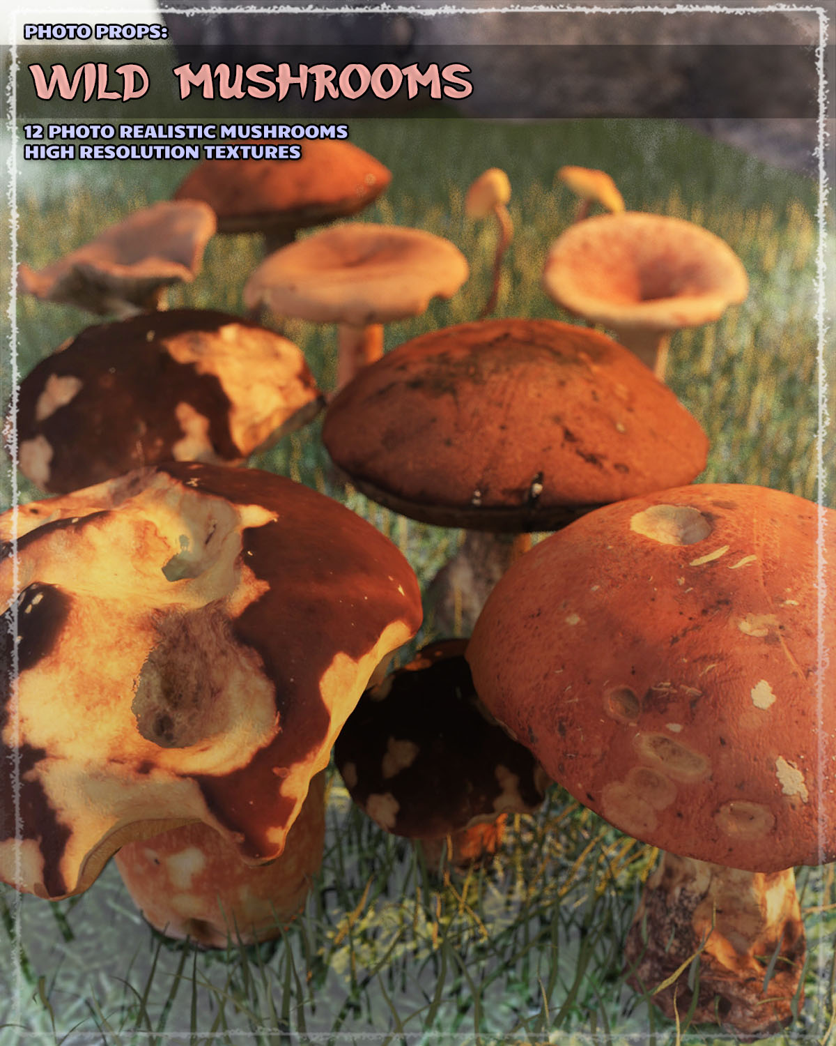 Photo Props: Wild Mushrooms by N/A