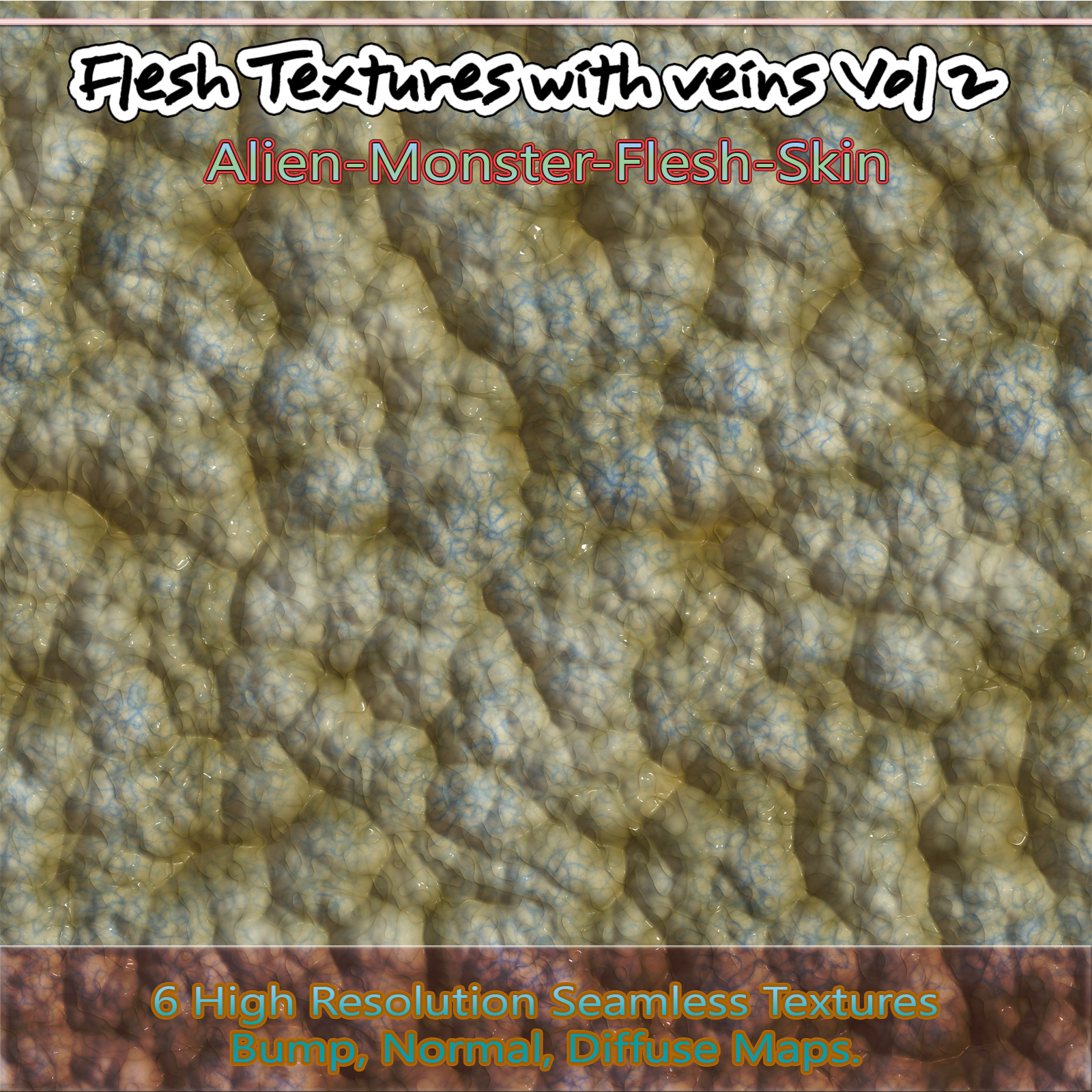 6 Seamless Flesh Textures with Veins and Bump, Normal and Diffuse Maps Volume 2 by N/A