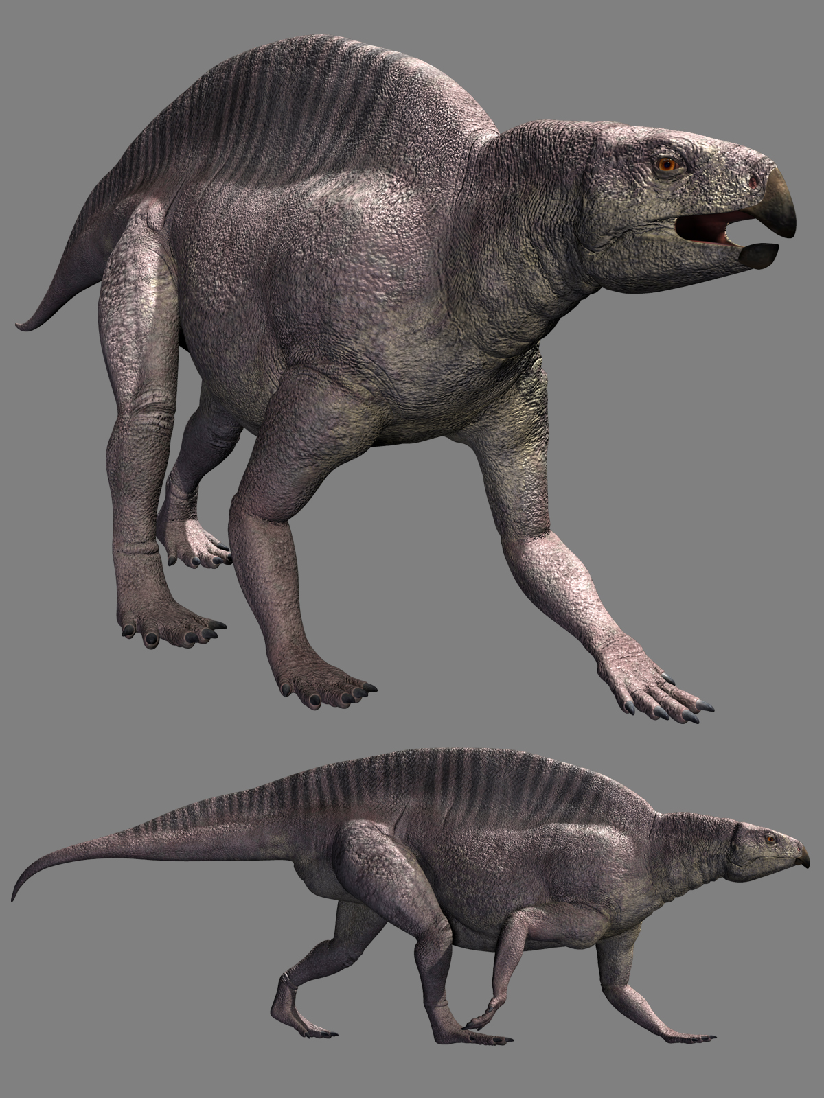 Lotosaurus adentus DR by N/A