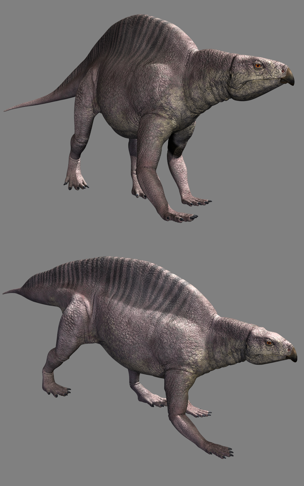 Lotosaurus adentus DR by N/A