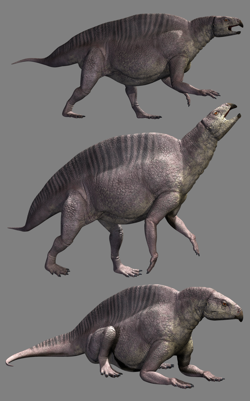 Lotosaurus adentus DR by N/A