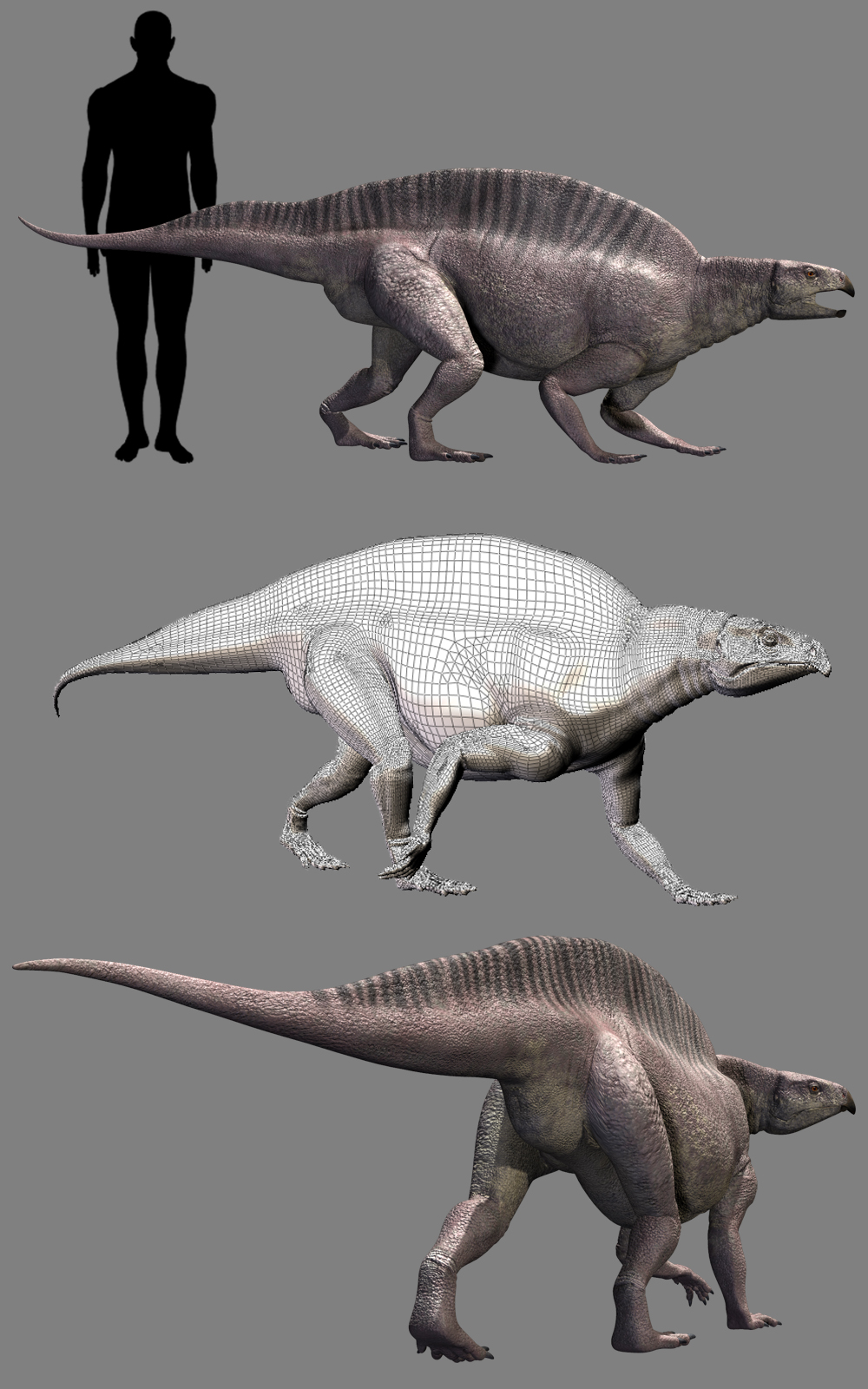 Lotosaurus adentus DR by N/A