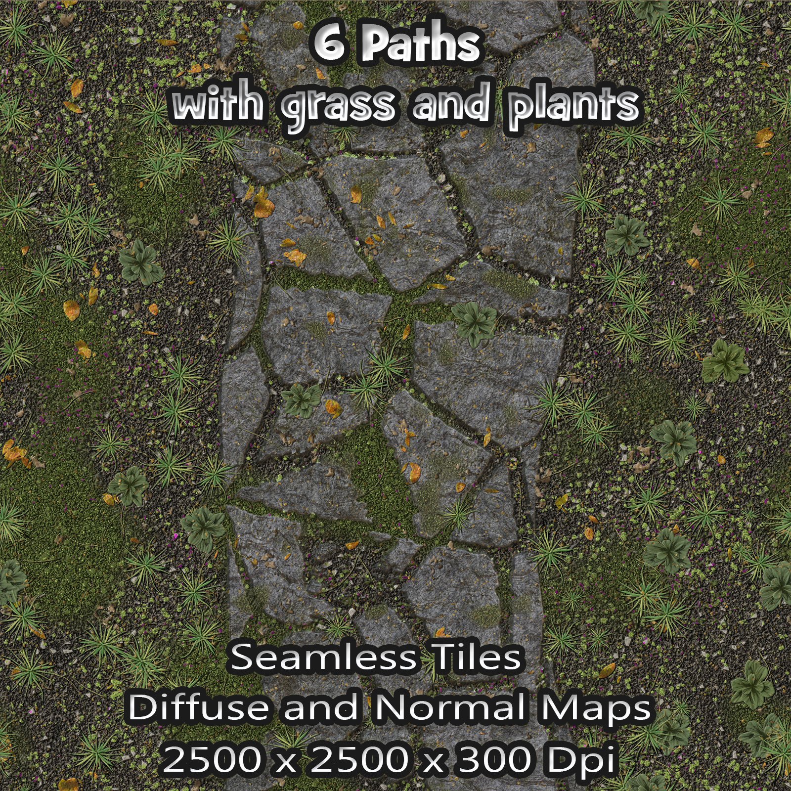 6 Seamless Paths with grass, plants, normal and diffuse maps by N/A