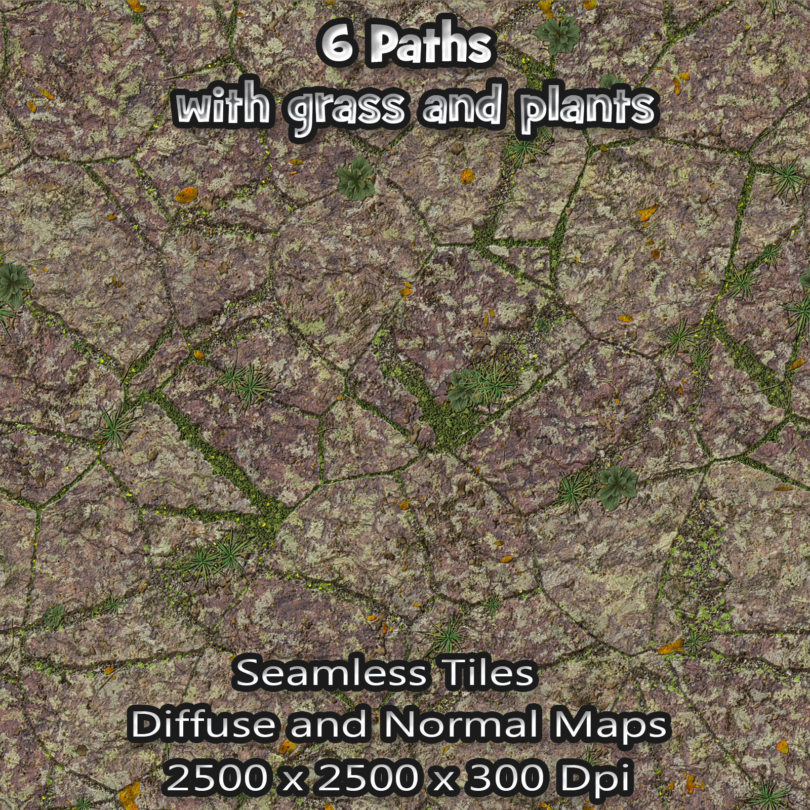 6 Seamless Paths with grass, plants, normal and diffuse maps by N/A