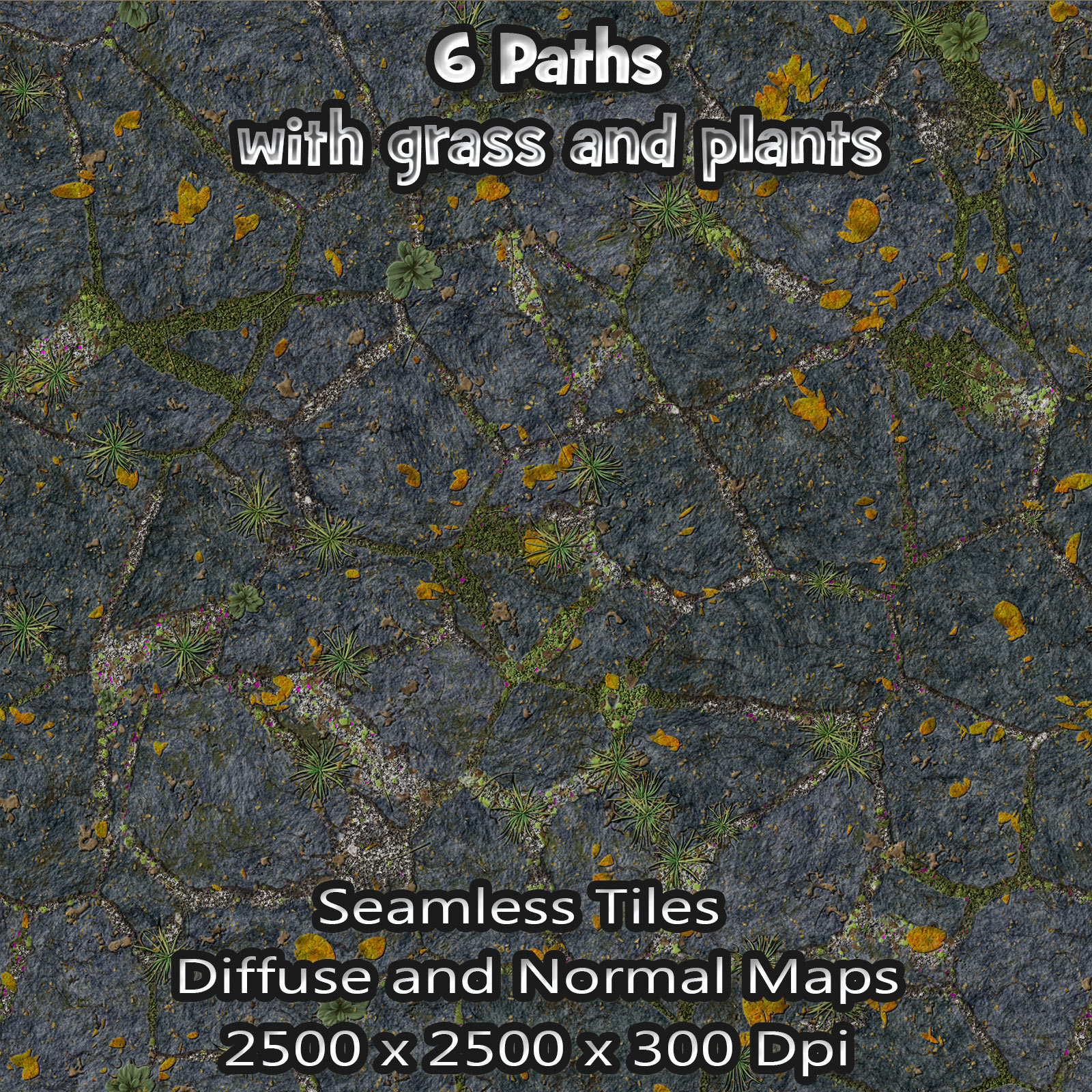 6 Seamless Paths with grass, plants, normal and diffuse maps by N/A