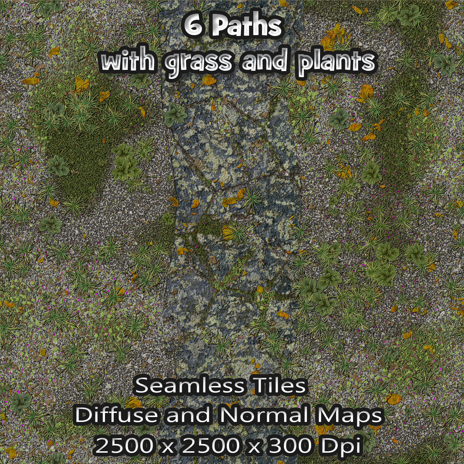 6 Seamless Paths with grass, plants, normal and diffuse maps by N/A