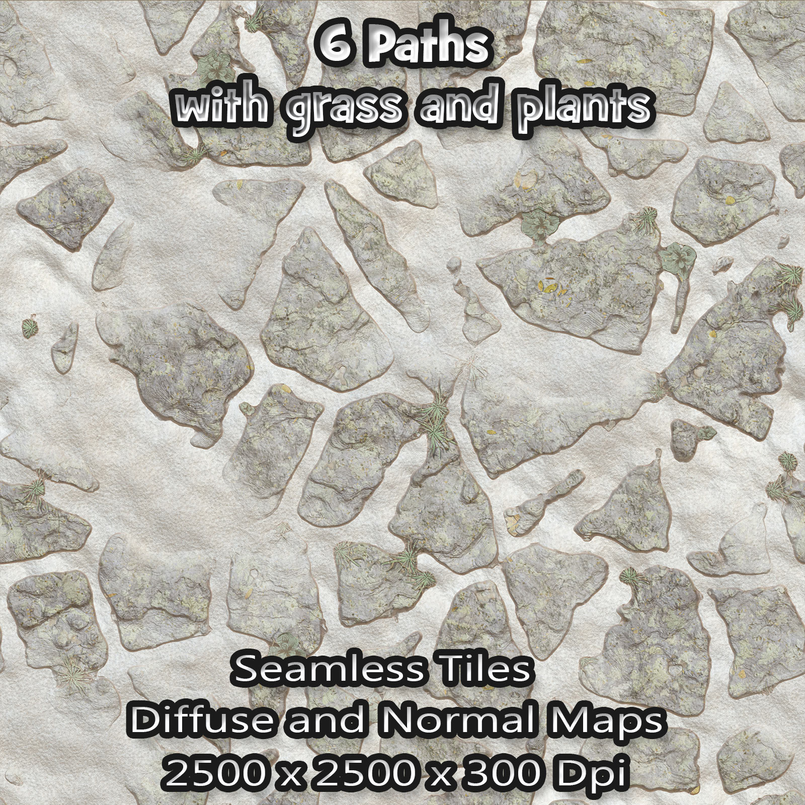 6 Seamless Paths with grass, plants, normal and diffuse maps by N/A