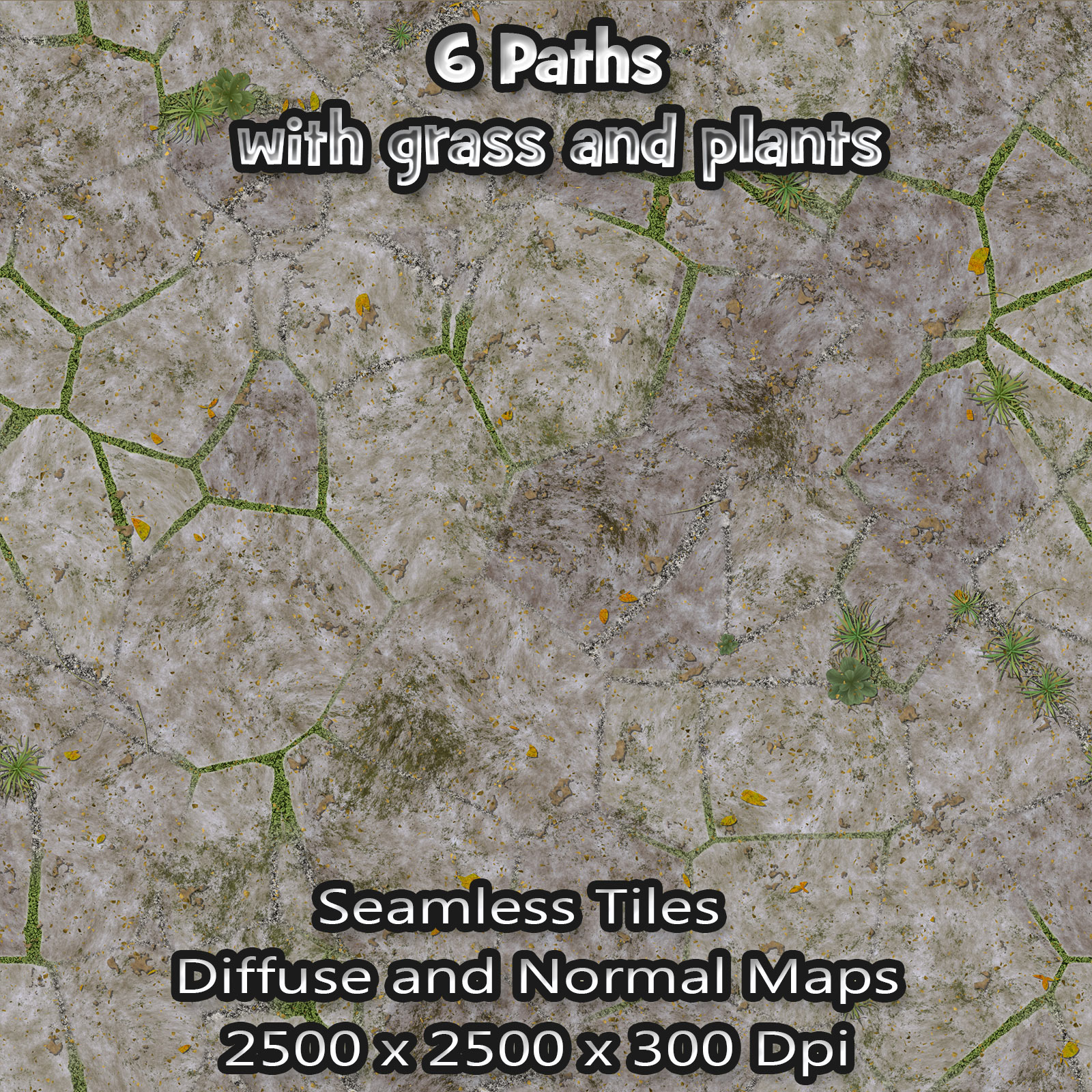 6 Seamless Paths with grass, plants, normal and diffuse maps by N/A