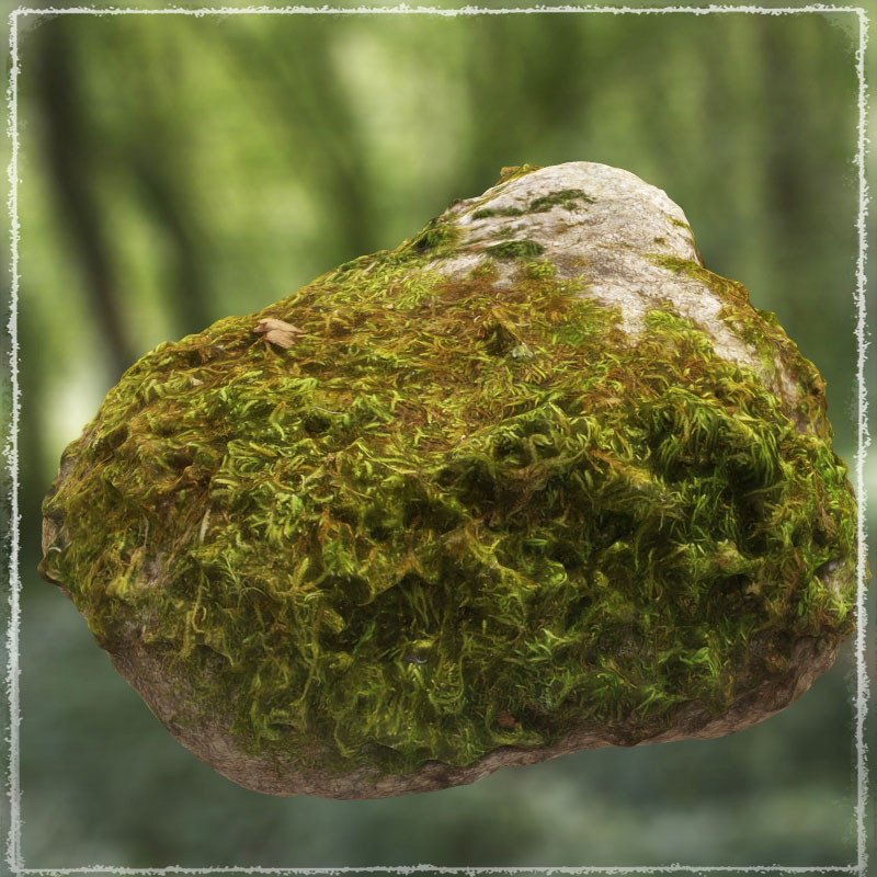 Photo Props: Mossy Rocks by N/A