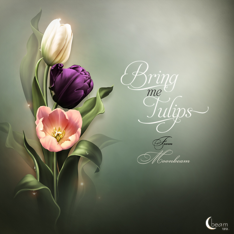 Moonbeam's Bring me Tulips by N/A