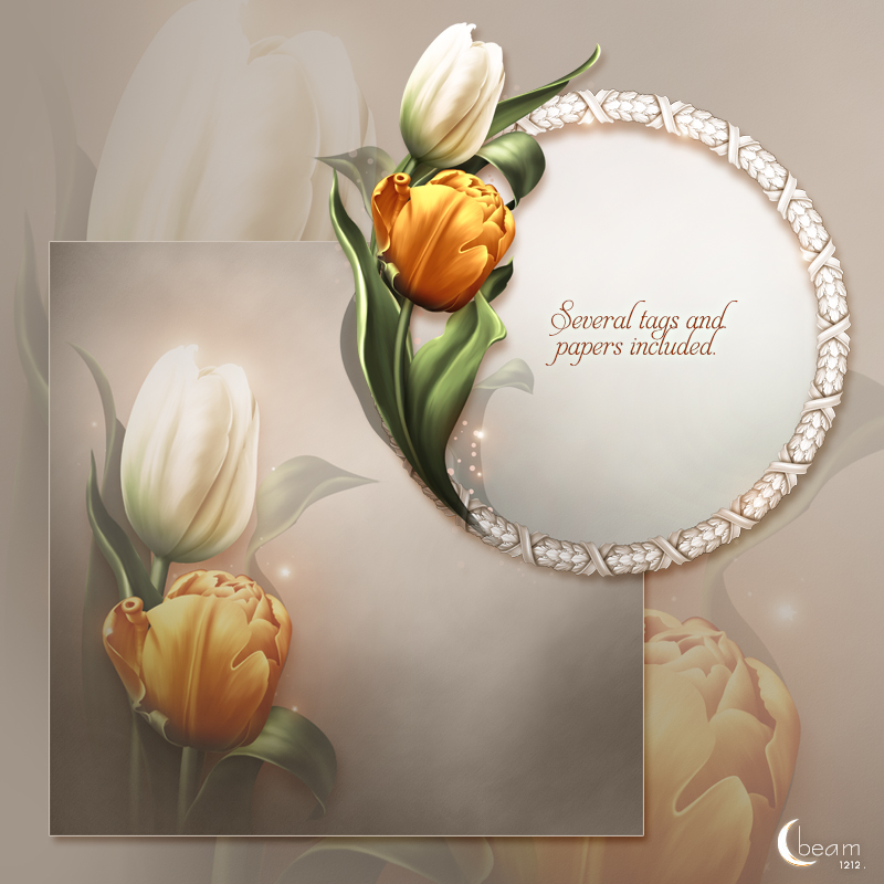 Moonbeam's Bring me Tulips by N/A