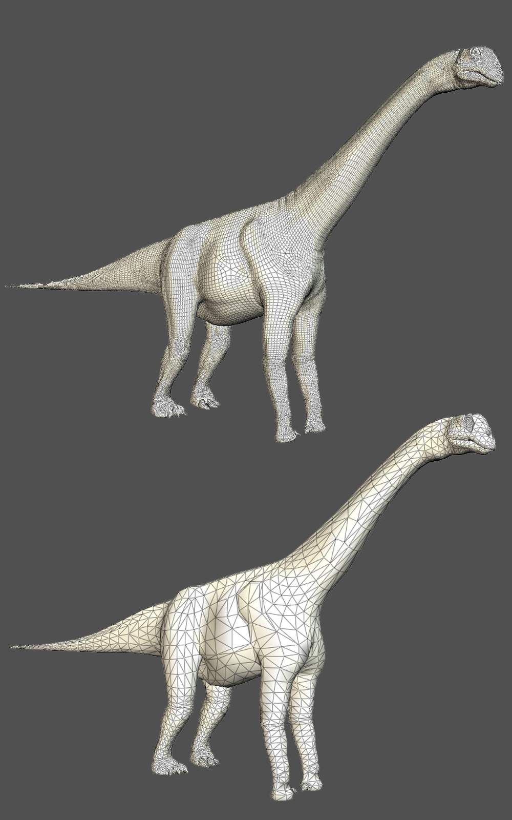 Brontomerus DR by N/A