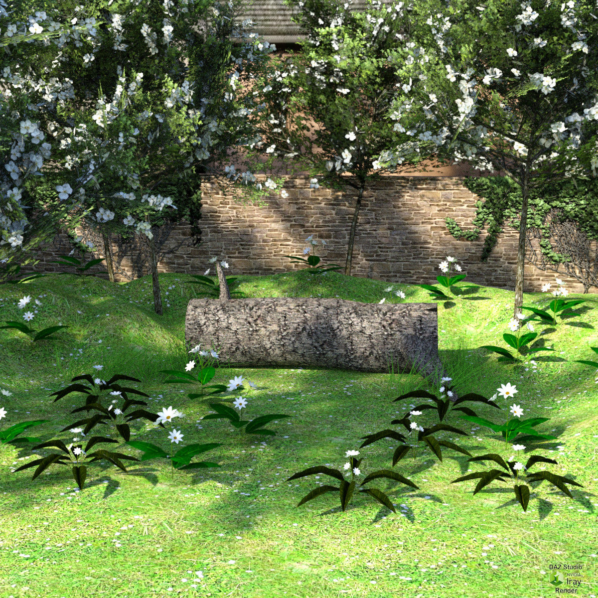 Garden by N/A