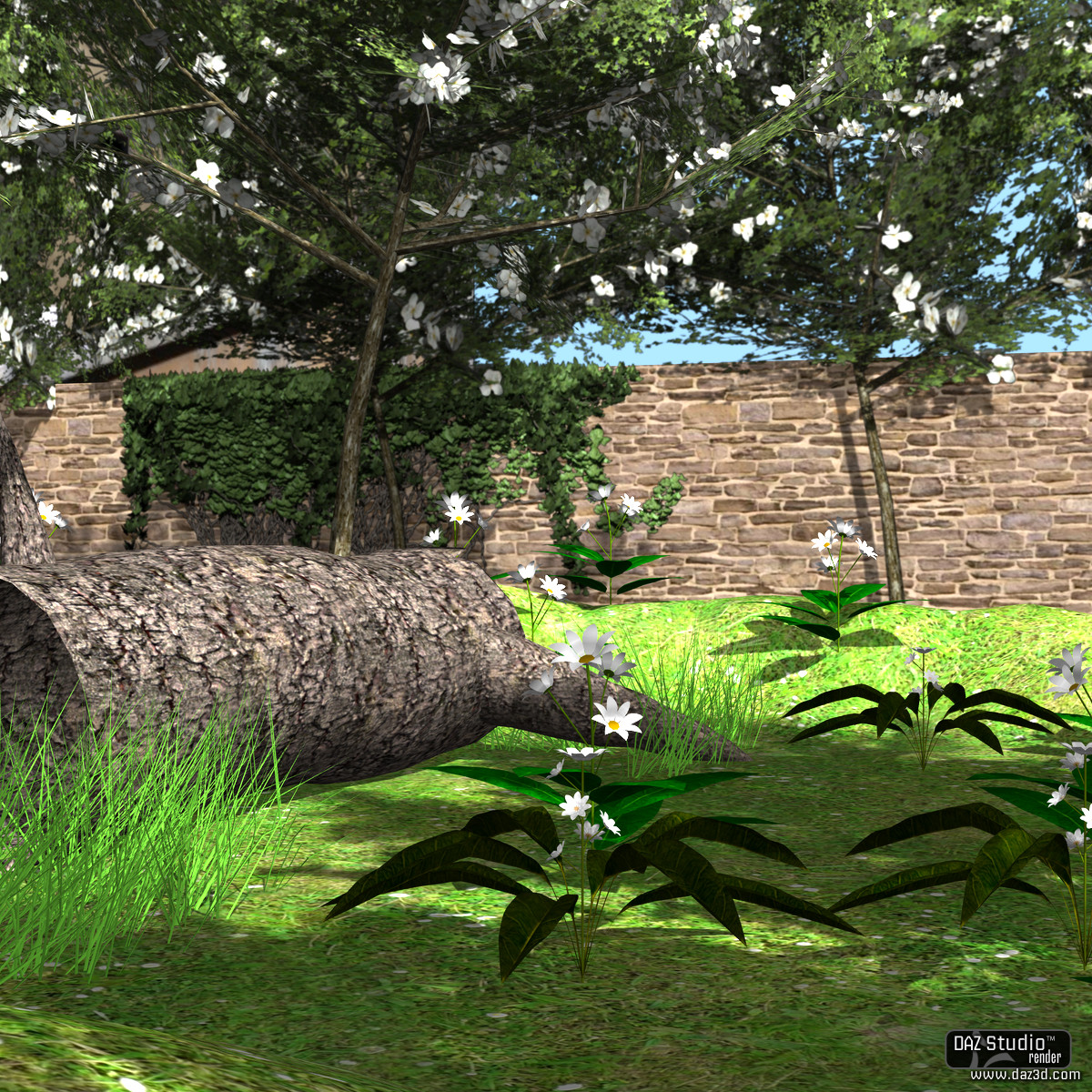 Garden by N/A