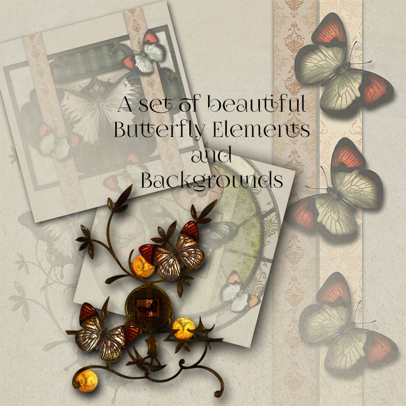 Butterfly Elements and Backgrounds by N/A