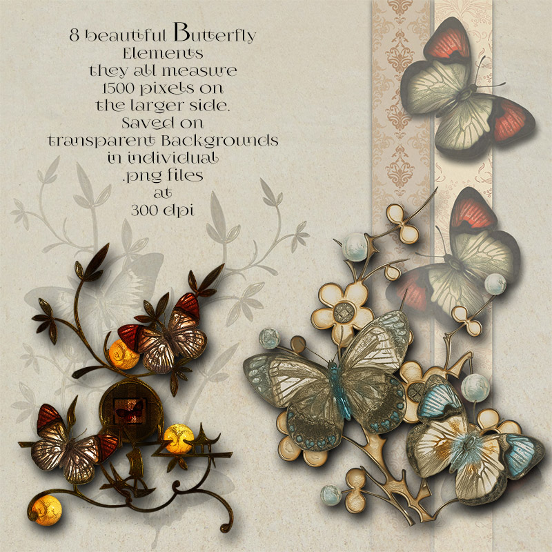 Butterfly Elements and Backgrounds by N/A