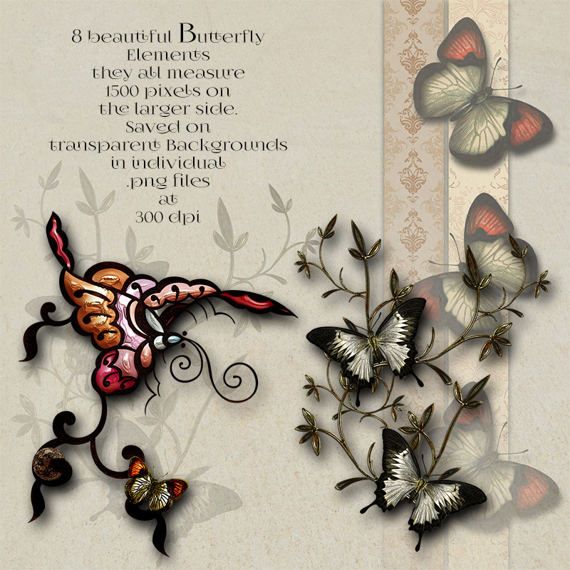 Butterfly Elements and Backgrounds by N/A