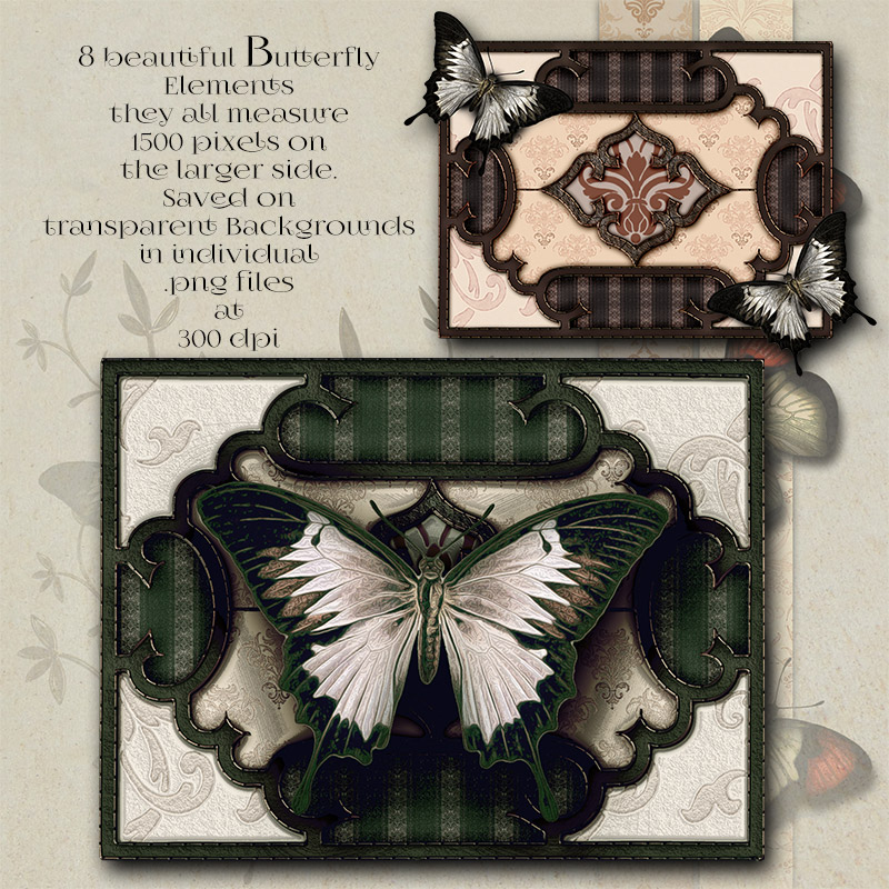 Butterfly Elements and Backgrounds by N/A