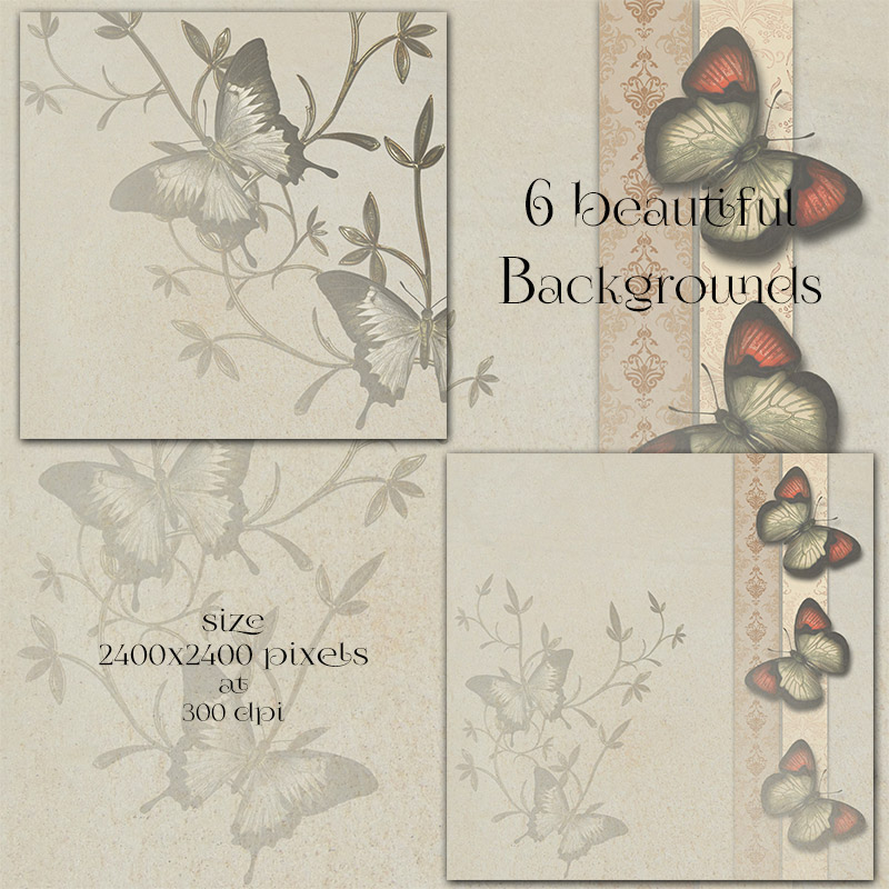 Butterfly Elements and Backgrounds by N/A