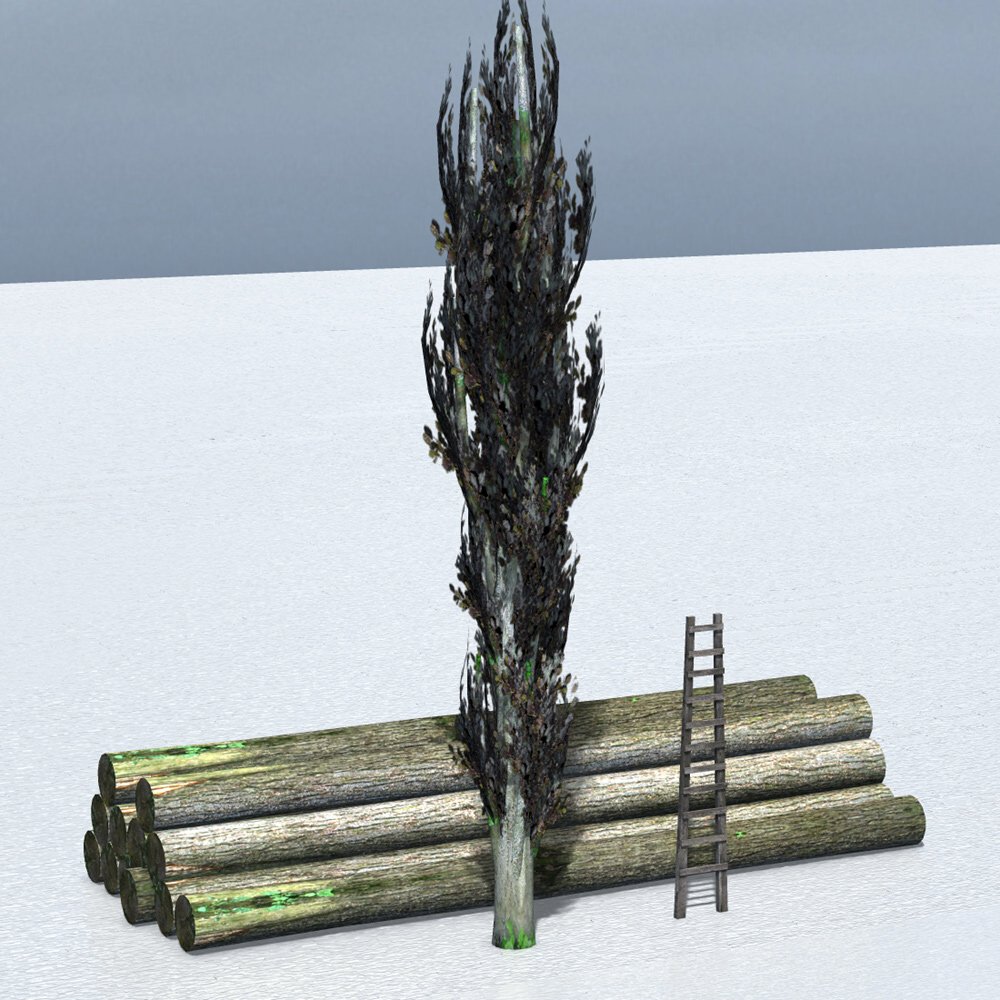 Urban Decay: Accessories (for Poser) by N/A