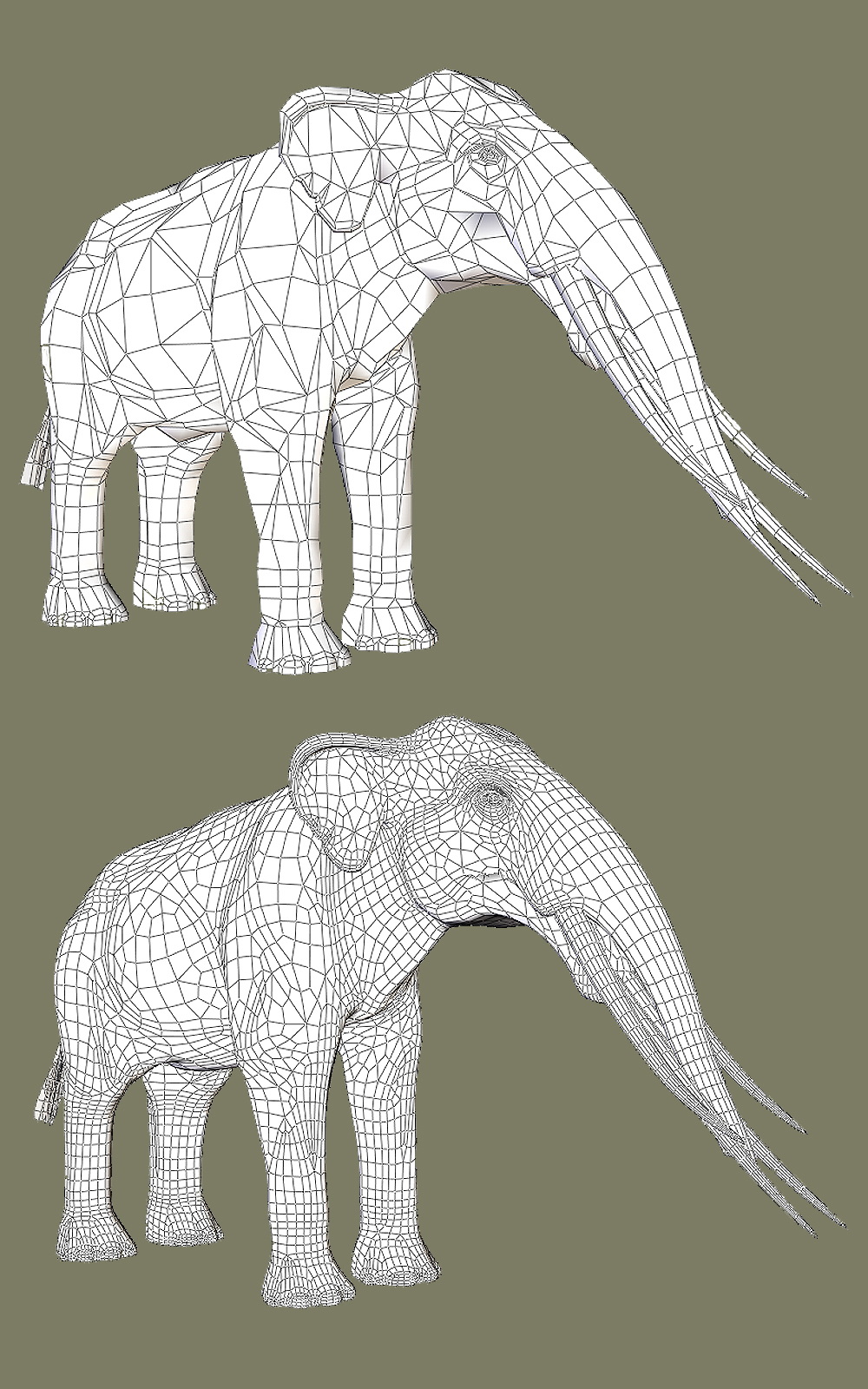Stegotetrabelodon syrticus DR by N/A