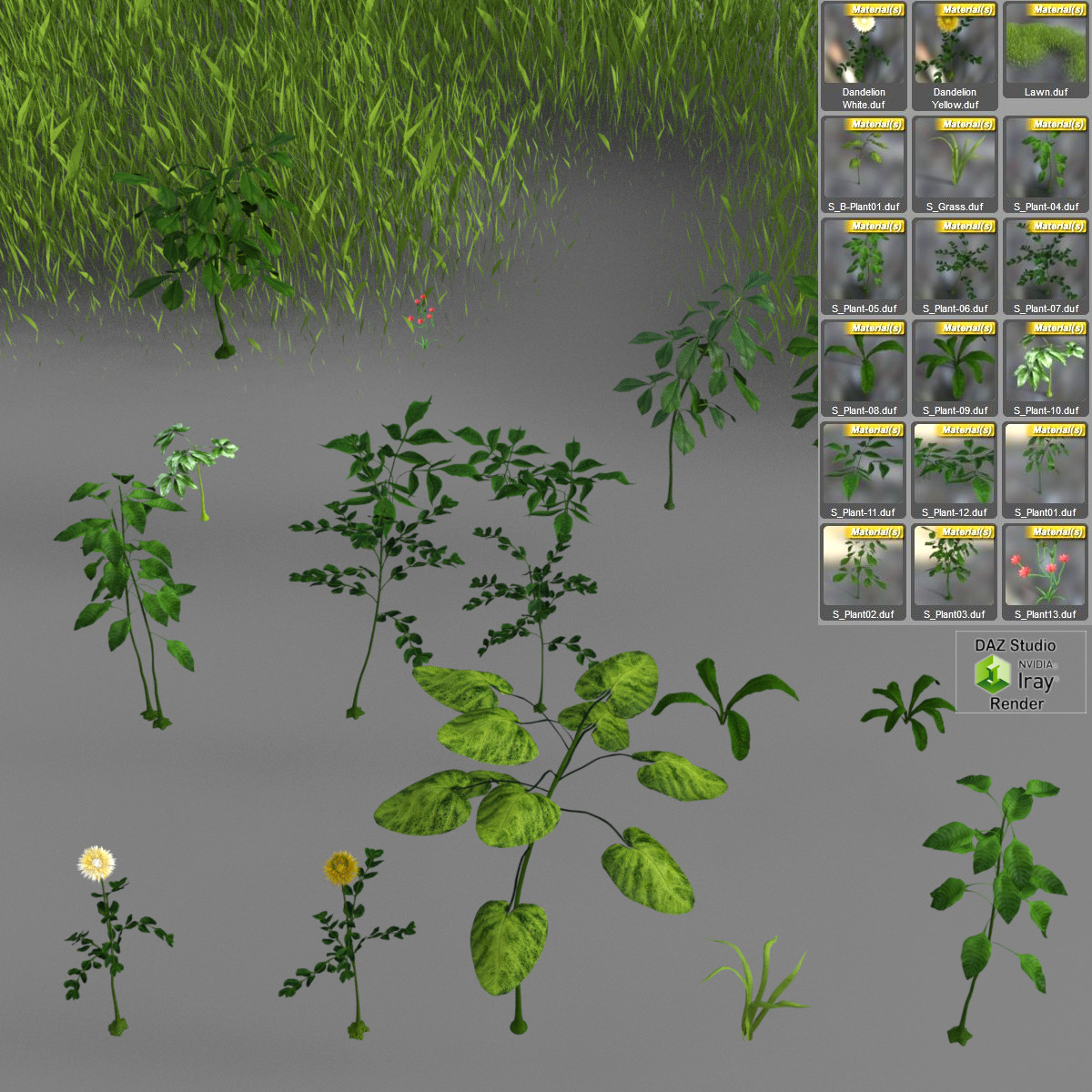 Solid Plants by N/A